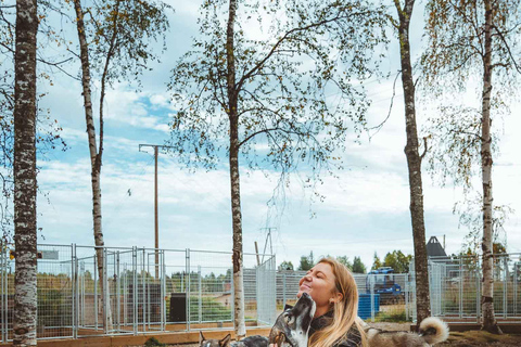 Rovaniemi: Autumn Husky Ride on Wheels