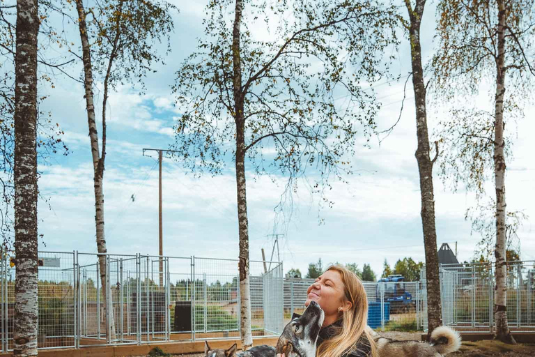 Rovaniemi: Autumn Husky Ride on Wheels