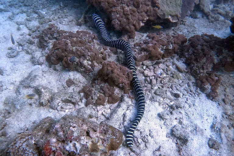 Scuba diving from stunning coral reef in the heart of Phuket