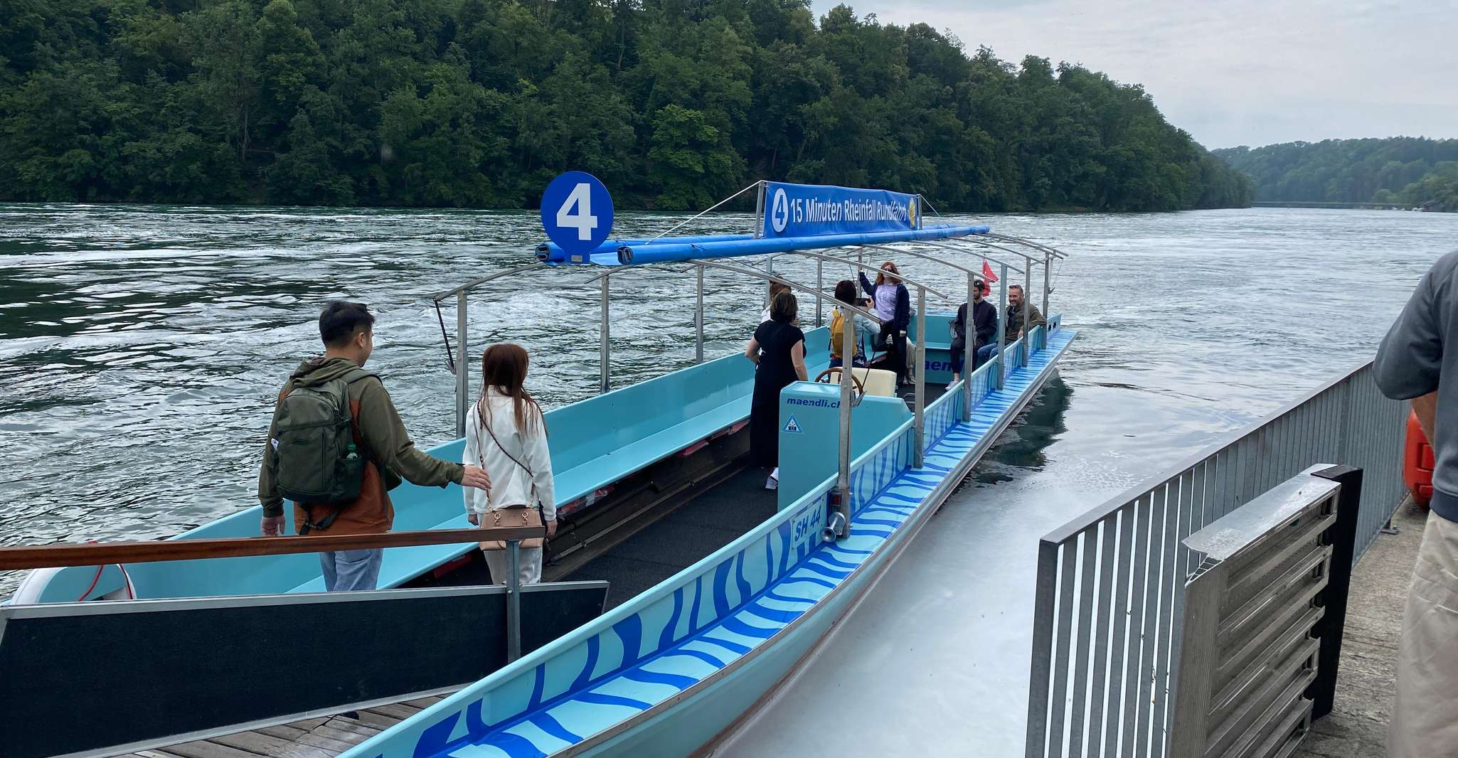 Tour privado a las Cataratas del Rin con recogida en el Hotel - Hizvo