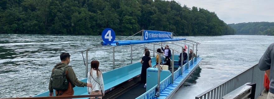 Visite privée des chutes du Rhin avec prise en charge à l'hôtel