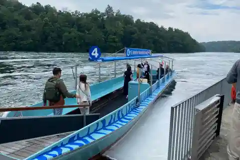 Excursión Privada a las Cataratas del Rin con Recogida en el Hotel