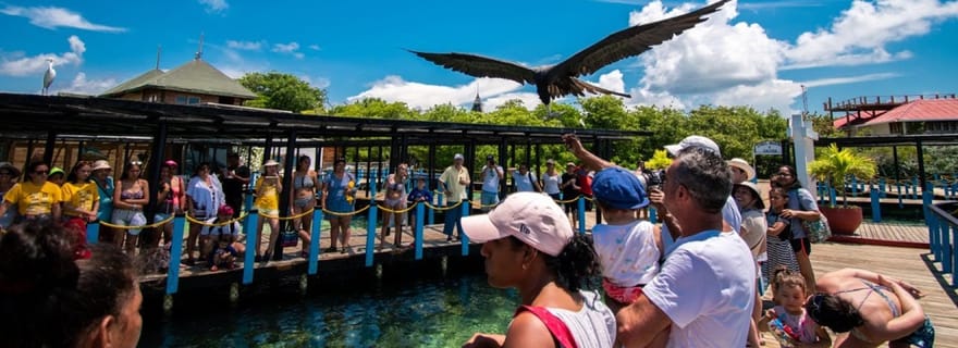 Carthagène : Île Cholon, Playa Blanca et Plancton lumineux