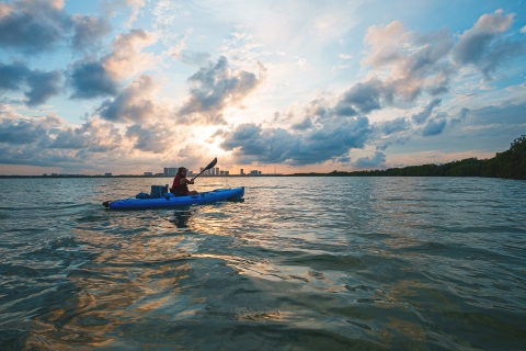 Exploring Cancun: Guided kayak tour through the Mangroves Sunset Tour: Guided kayak tour through the Mangroves