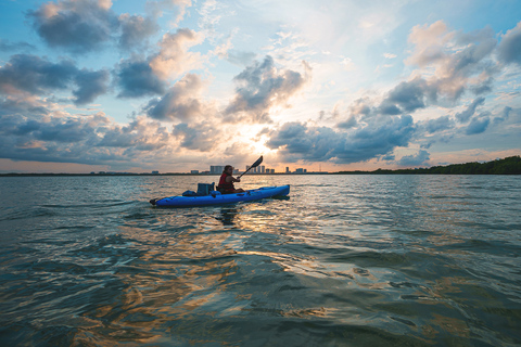 Exploring Cancun: Guided kayak tour through the Mangroves Sunset Tour: Guided kayak tour through the Mangroves