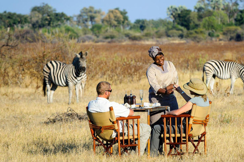 Halvdag Natal Lion P &amp; Tala Game Reserve från Durban Safari