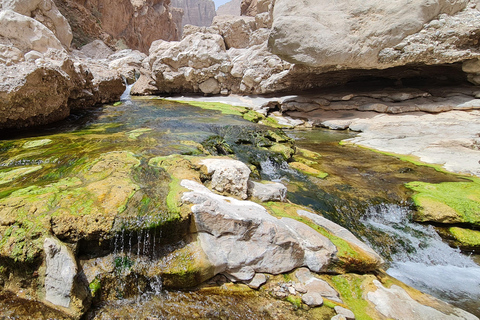 From Muscat: Wadi Al Arbieen Adventure, Sinkhole, Fins Beach