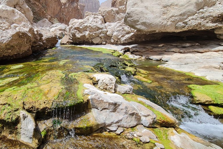From Muscat: Wadi Al Arbieen Adventure, Sinkhole, Fins Beach