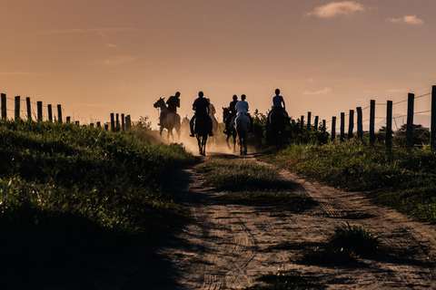 San Luis Obispo: Sunset Trails Horseback Adventure