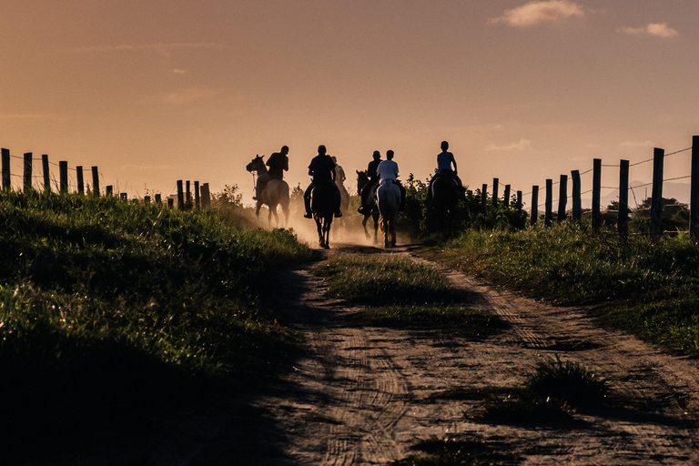 San Luis Obispo: Sunset Trails Horseback Adventure