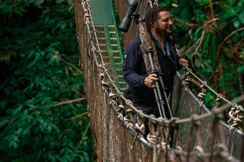 Puntarenas: Rainmaker Park Guided Tour with Lunch