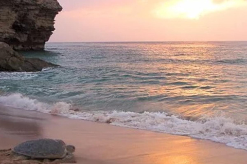 Muscat: 3-Day Oman Highlights Tour – Beach, Desert, Mountain