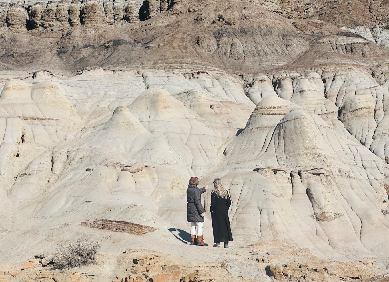 Badlands-tur: Drumheller med museum, hoodoos og dinosaurer