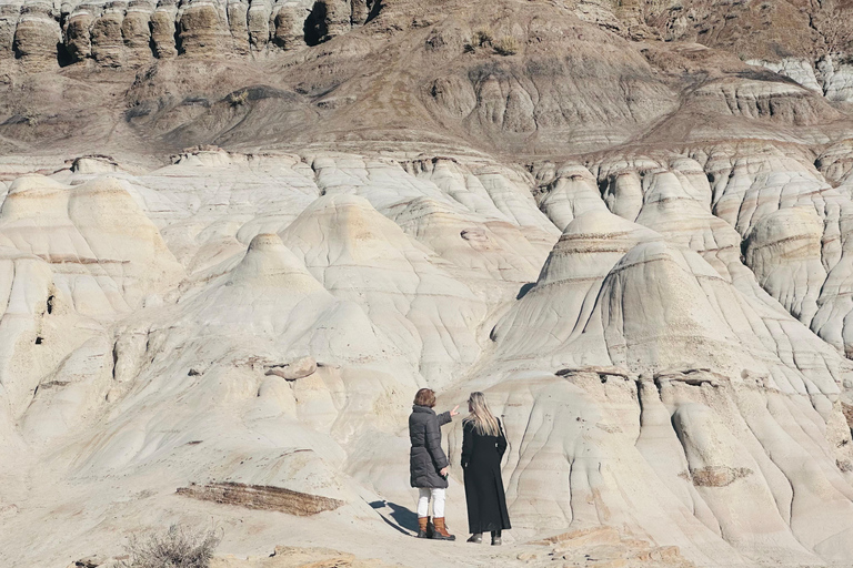 Badlands Tour: Drumheller with Museum, Hoodoos & Dinosaurs Booking Option for Summer 2026