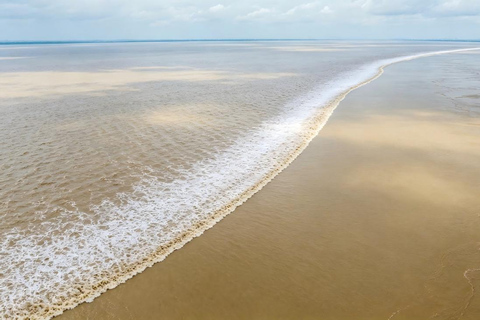 Hangzhou Qiantang River Tidal Bore Tour Yanguan — The Classic Single-Line Tide