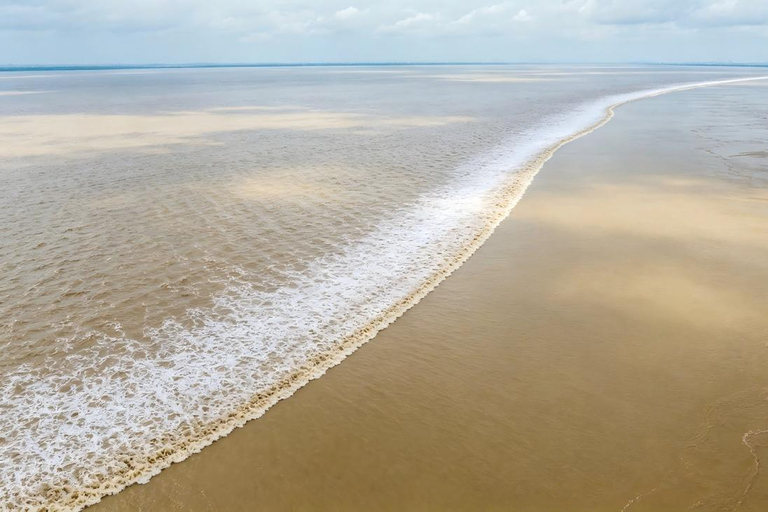 Hangzhou Qiantang River Tidal Bore Tour Yanguan — The Classic Single-Line Tide