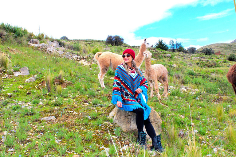 From Puno: Mystical Aymara Route to Aramu Muru with Photos and Videos Aymara Route Tour