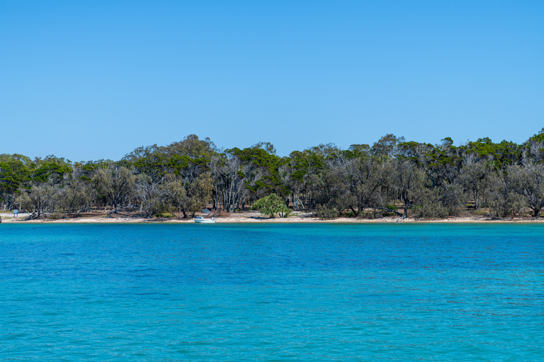 Brisbane: Excursão de meio dia à vela em Moreton Bay com Antipasto