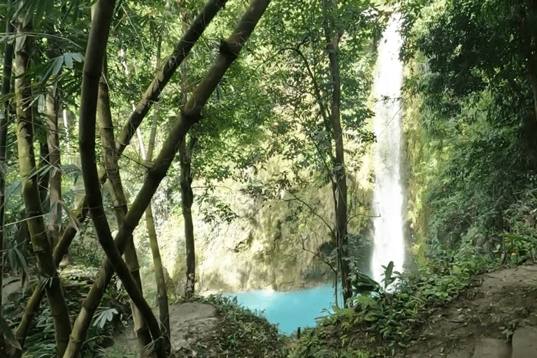 Cebu : excursion d&#039;une journée à Inambakan, Kawasan et aux chutes de Mantayupan