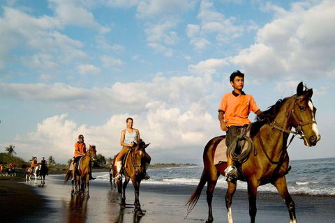 Bali: Saba Beach Horse Riding and Wine Tasting Tour Horse Riding 60 Minute meet in Our location