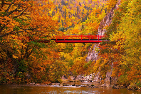 From Sapporo: Hoheikyo Dam, Jozankei & Lake Shikotsu Tour Shared Tour, Meet at Sapporo Station