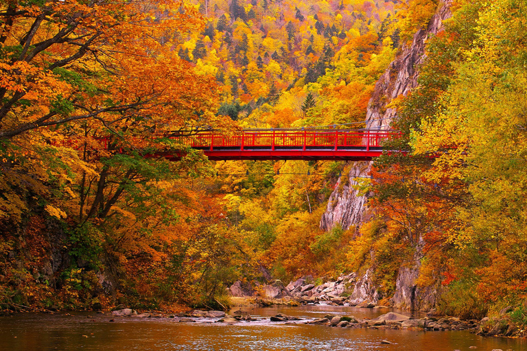 From Sapporo: Hoheikyo Dam, Jozankei & Lake Shikotsu Tour Shared Tour, Meet at Sapporo Station