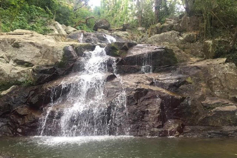 Vattenfallstur, djungelsafari, zipline med lergrop och varma källorEndast biljetter för inträde