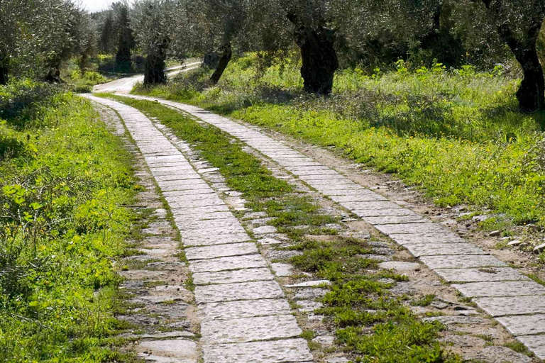 Catane : Visite guidée de l'exploitation agricole Pozzo di Gaspare avec dégustations