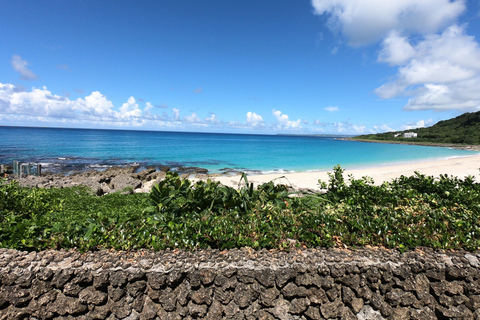 Au départ de Kaohsiung : Visite privée de Kenting et de la côte océanique