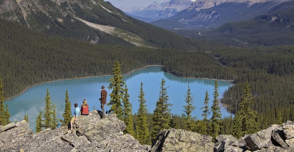 Columbia-Eisfeld: Bow Lake, Peyto Lake, Crowfoot-Gletscher