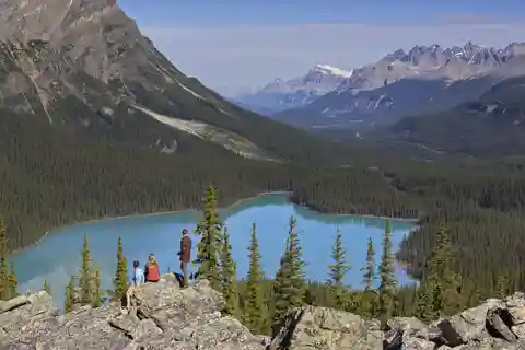 Icefield: Bow Lake, Columbia Icefield, Peyto Lake Day Tour