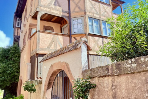 Riquewihr: the pearl of the vineyards with a local guide and tastings Riquewihr: the Pearl of the Vineyard with a local guide and wine tastings