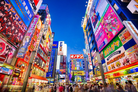 Tokyo: Tailored Shopping Escape Tour