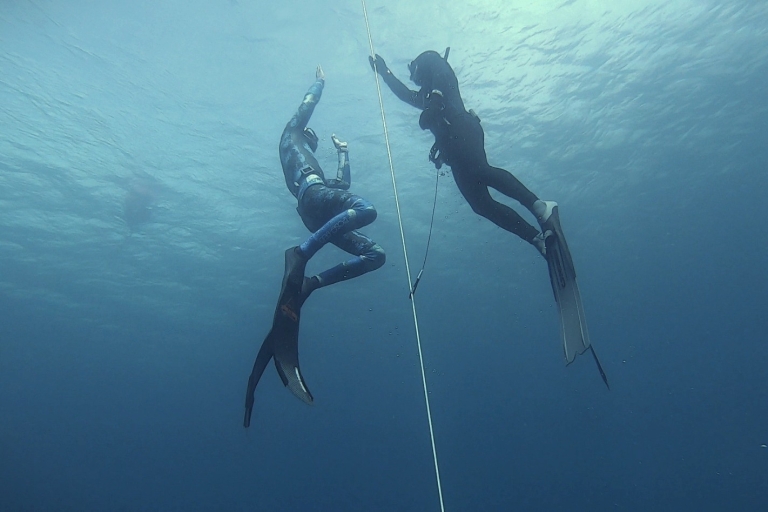 Tenerife: Freediving Discovery-cursus