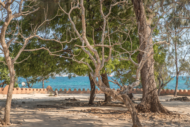 Zanzibar: Prison Island & Nakupenda Boat Trip + Swahili BBQ Prison Island & Nakupenda WITHOUT transfer