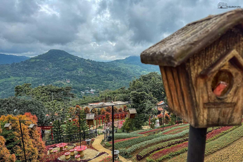 Cebu: Simala Shrine and City Tour Package A