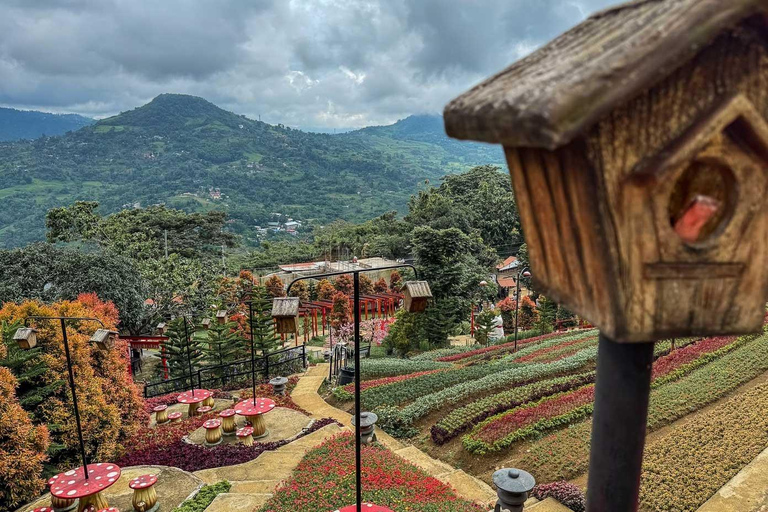 Cebu: Simala Shrine and City Tour Package A