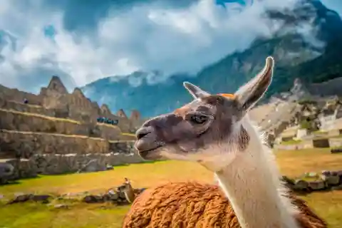 From Cusco: 2-Day Sacred Valley and Machu Picchu Tour