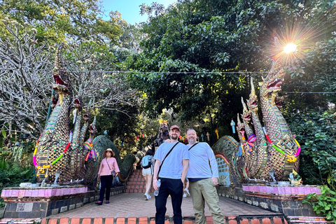 Chiang Mai: Tempel, natuur en cultuur in één dag.Olifantenopvang en Doi Suthep Tour.