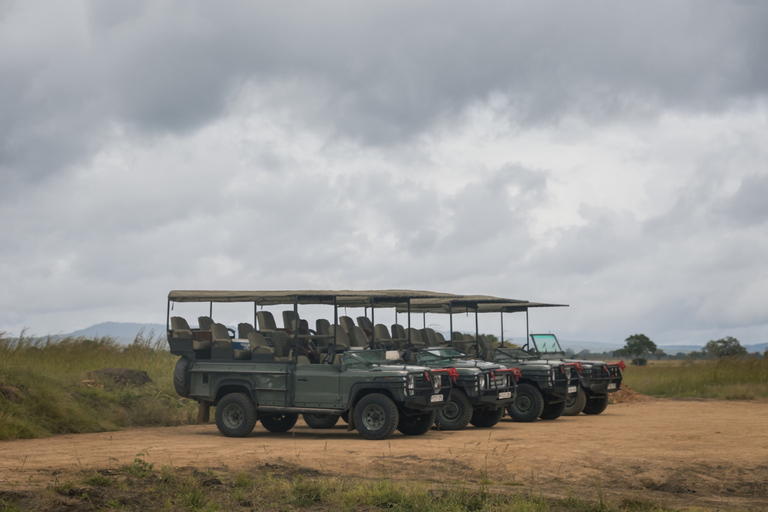 Från Zanzibar: Mikumi Safari med tvåmotorigt flygplan + lunchMikumi Safari – utan transfer
