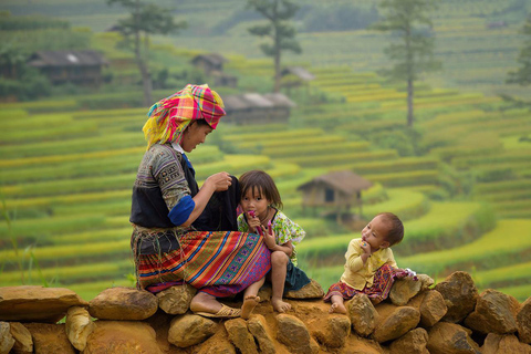 Depuis Hanoi : 3 jours de visite de Sapa, Fansipan, Ninh Binh avec repasCircuit standard : 3 jours à Sapa, Fansipan et Ninh Binh