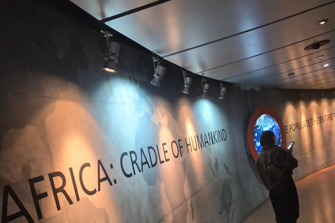 Johannesburg: Cradle Of Humankind & Fossil Discovery Tour