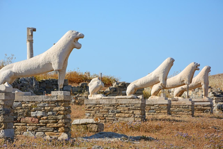 Crucero por Mykonos: champán, barbacoa, demostración de navegación y parada en Delos.Crucero por Mykonos: champán, barbacoa, demostración de vela y parada en Delos