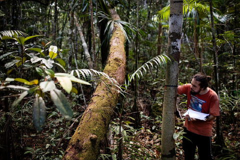 Survie dans la jungle