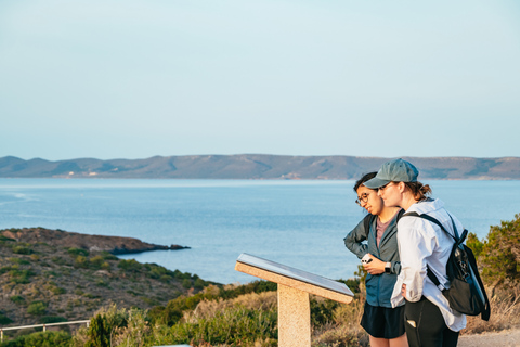 De Atenas: Excursão de meio dia ao Cabo Sounion e ao Templo de PoseidonExcursão Particular