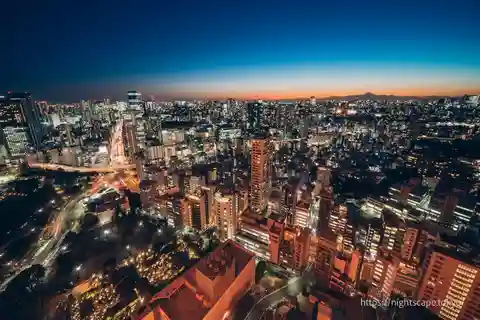 Tokyo : Night E-Bike Tour with Tokyo Tower and Dolphin Show