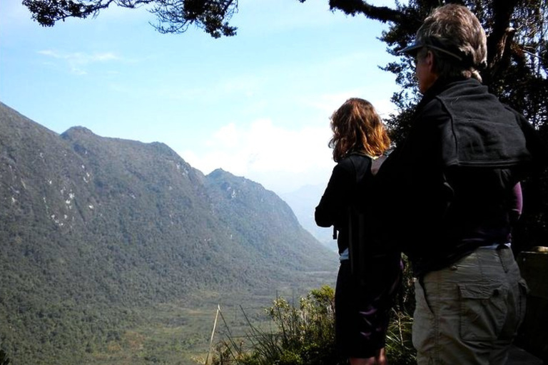 Private Tour to Papallacta Hot Springs & Bear Watching
