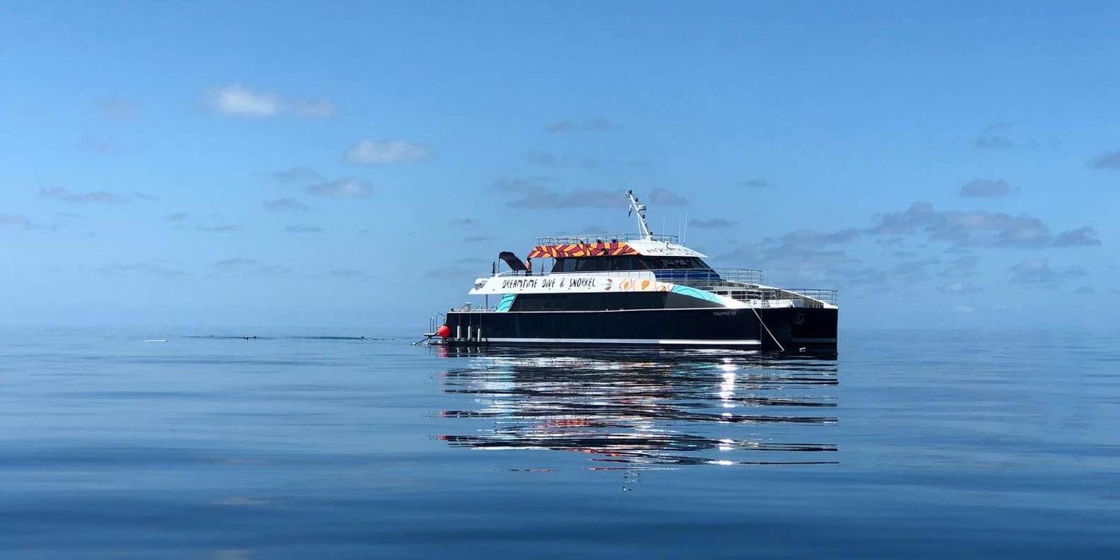 Cairns: Great Barrier Reef Premium Diving Full Day Tour