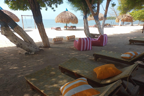 Barú: Playa Blanca with Private Club, Snorkeling and Raccoon Watching