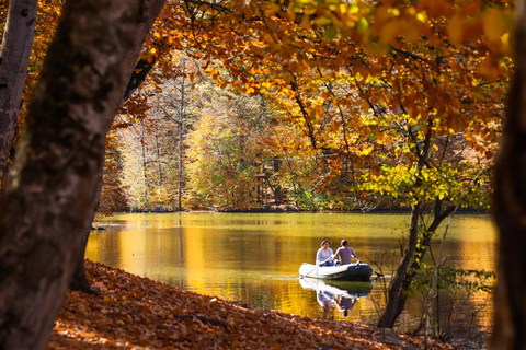 Tavush-regionen: Höjdpunkt - Dilijan nationalpark